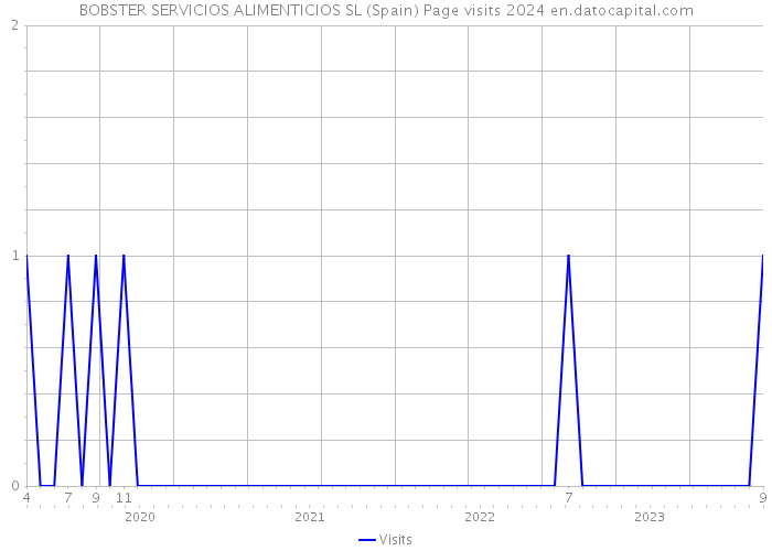 BOBSTER SERVICIOS ALIMENTICIOS SL (Spain) Page visits 2024 