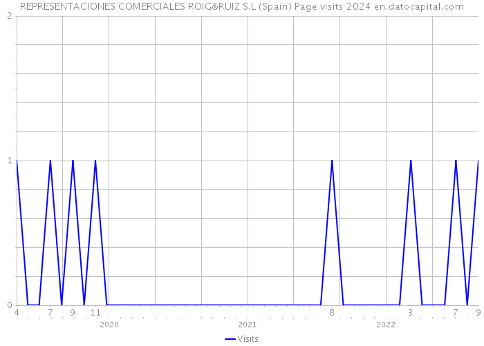 REPRESENTACIONES COMERCIALES ROIG&RUIZ S.L (Spain) Page visits 2024 