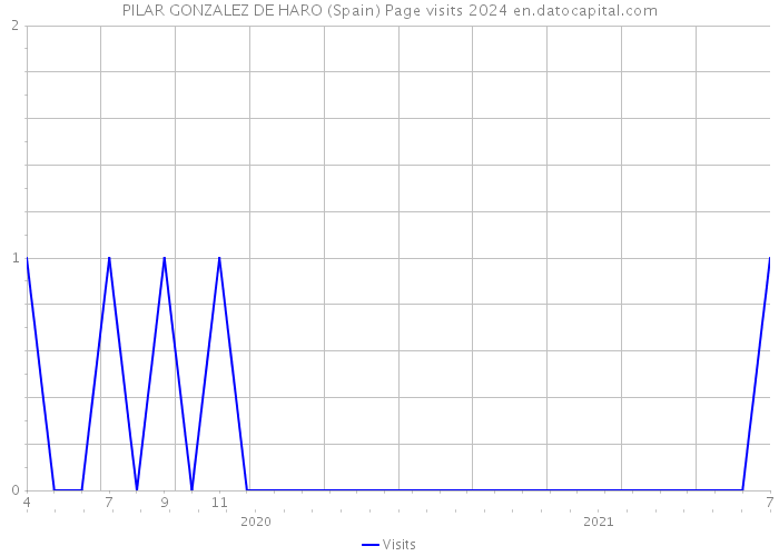 PILAR GONZALEZ DE HARO (Spain) Page visits 2024 