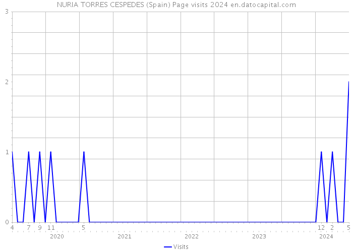 NURIA TORRES CESPEDES (Spain) Page visits 2024 