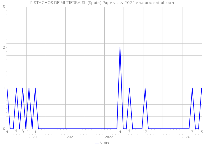 PISTACHOS DE MI TIERRA SL (Spain) Page visits 2024 