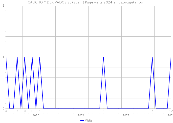 CAUCHO Y DERIVADOS SL (Spain) Page visits 2024 