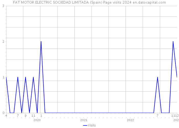 FAT MOTOR ELECTRIC SOCIEDAD LIMITADA (Spain) Page visits 2024 