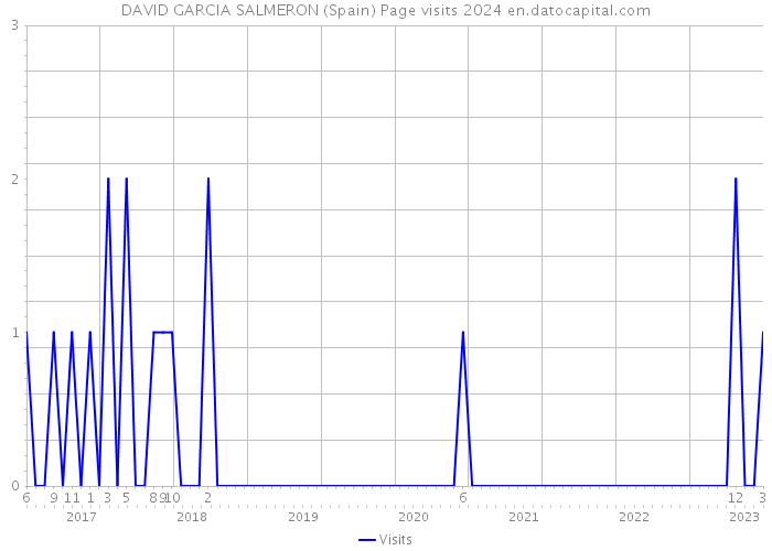 DAVID GARCIA SALMERON (Spain) Page visits 2024 