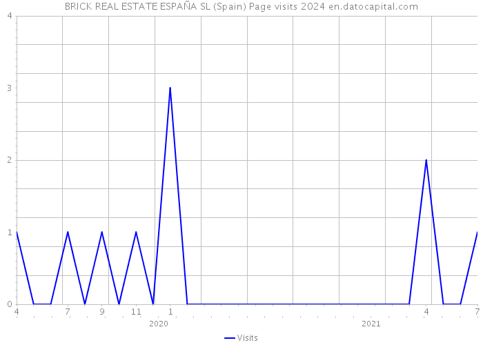 BRICK REAL ESTATE ESPAÑA SL (Spain) Page visits 2024 