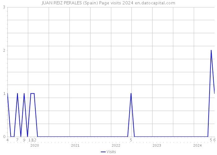 JUAN REIZ PERALES (Spain) Page visits 2024 