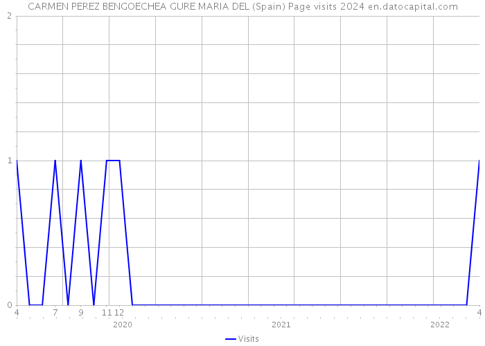 CARMEN PEREZ BENGOECHEA GURE MARIA DEL (Spain) Page visits 2024 