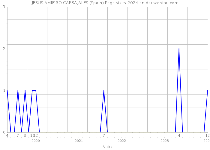 JESUS AMIEIRO CARBAJALES (Spain) Page visits 2024 