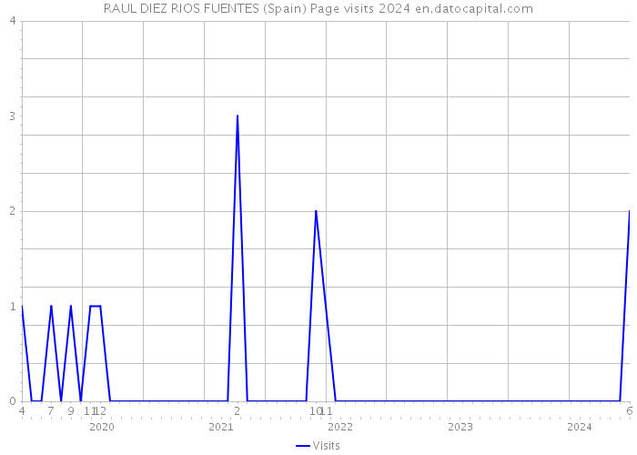 RAUL DIEZ RIOS FUENTES (Spain) Page visits 2024 
