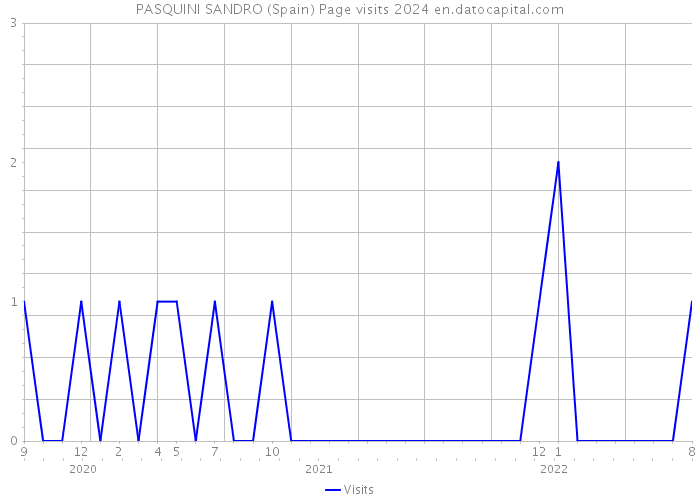 PASQUINI SANDRO (Spain) Page visits 2024 