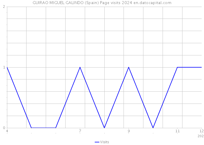 GUIRAO MIGUEL GALINDO (Spain) Page visits 2024 