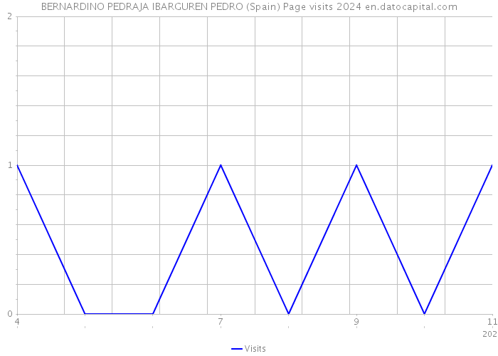 BERNARDINO PEDRAJA IBARGUREN PEDRO (Spain) Page visits 2024 