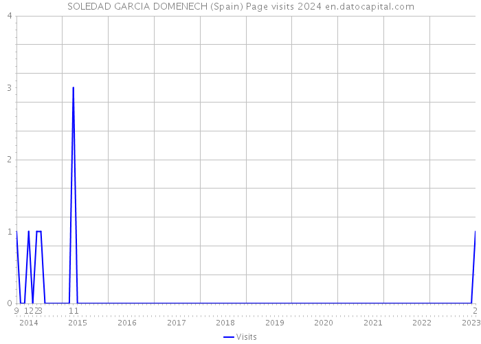 SOLEDAD GARCIA DOMENECH (Spain) Page visits 2024 