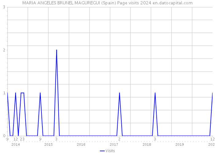 MARIA ANGELES BRUNEL MAGUREGUI (Spain) Page visits 2024 