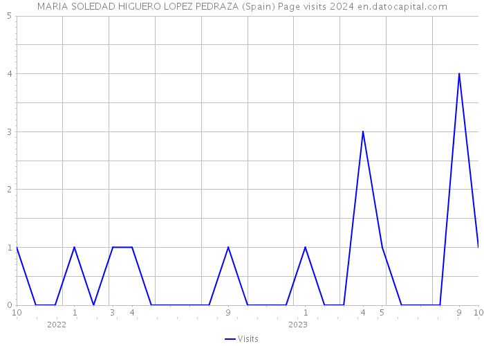 MARIA SOLEDAD HIGUERO LOPEZ PEDRAZA (Spain) Page visits 2024 
