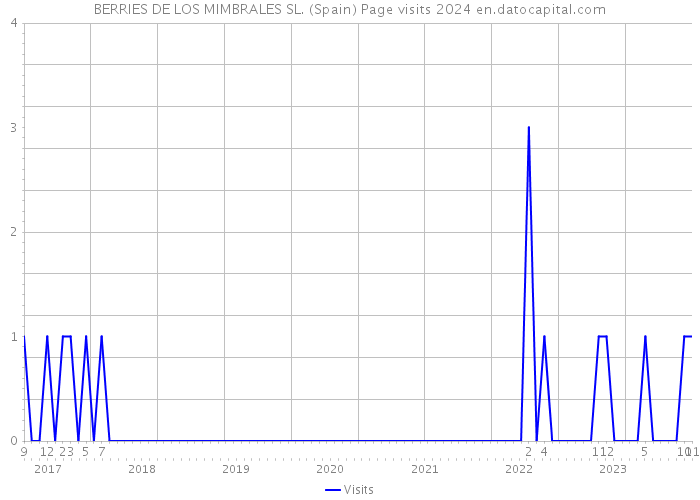 BERRIES DE LOS MIMBRALES SL. (Spain) Page visits 2024 