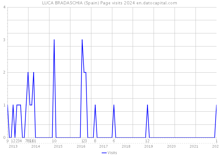 LUCA BRADASCHIA (Spain) Page visits 2024 