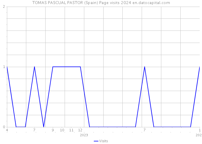 TOMAS PASCUAL PASTOR (Spain) Page visits 2024 