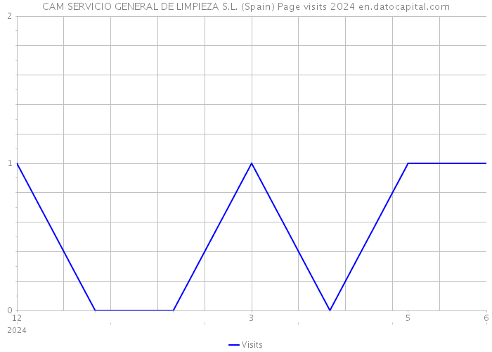 CAM SERVICIO GENERAL DE LIMPIEZA S.L. (Spain) Page visits 2024 