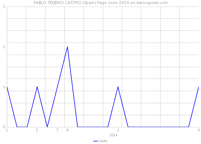 PABLO TEIJEIRO CASTRO (Spain) Page visits 2024 