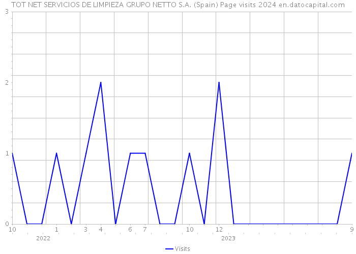 TOT NET SERVICIOS DE LIMPIEZA GRUPO NETTO S.A. (Spain) Page visits 2024 