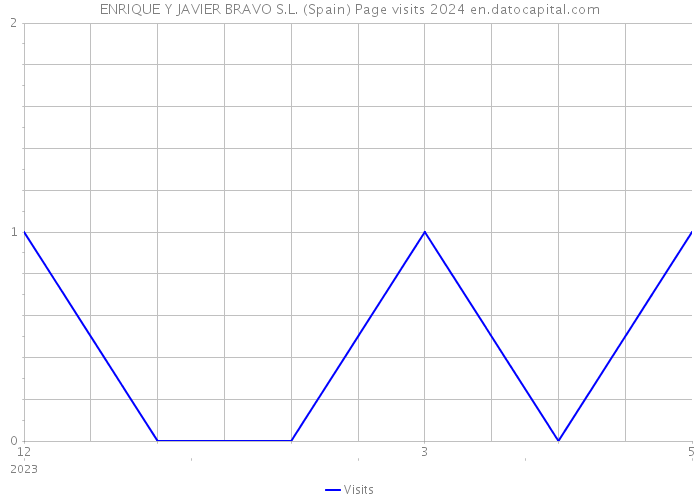 ENRIQUE Y JAVIER BRAVO S.L. (Spain) Page visits 2024 