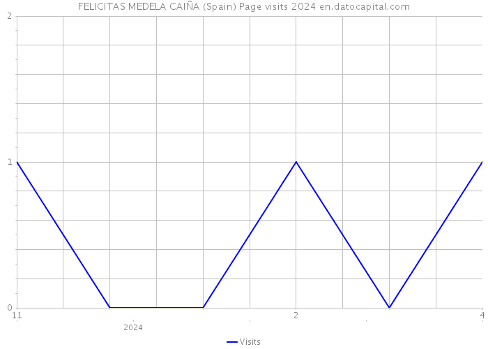 FELICITAS MEDELA CAIÑA (Spain) Page visits 2024 