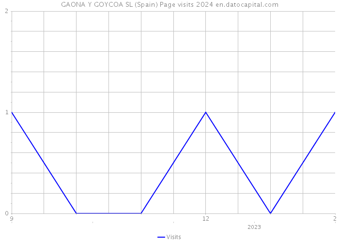 GAONA Y GOYCOA SL (Spain) Page visits 2024 