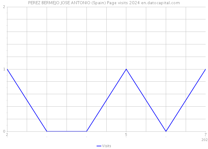 PEREZ BERMEJO JOSE ANTONIO (Spain) Page visits 2024 
