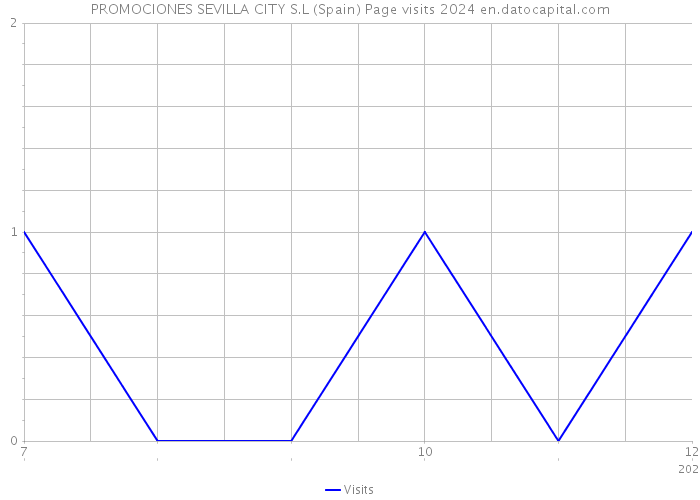 PROMOCIONES SEVILLA CITY S.L (Spain) Page visits 2024 