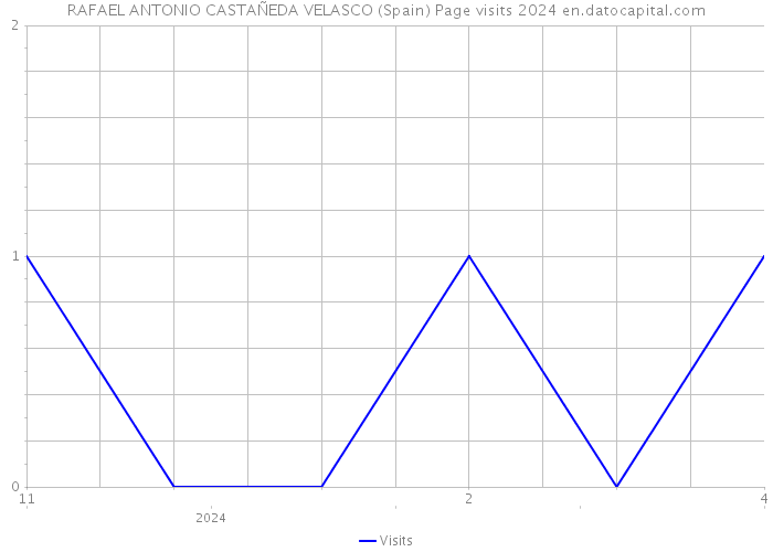 RAFAEL ANTONIO CASTAÑEDA VELASCO (Spain) Page visits 2024 