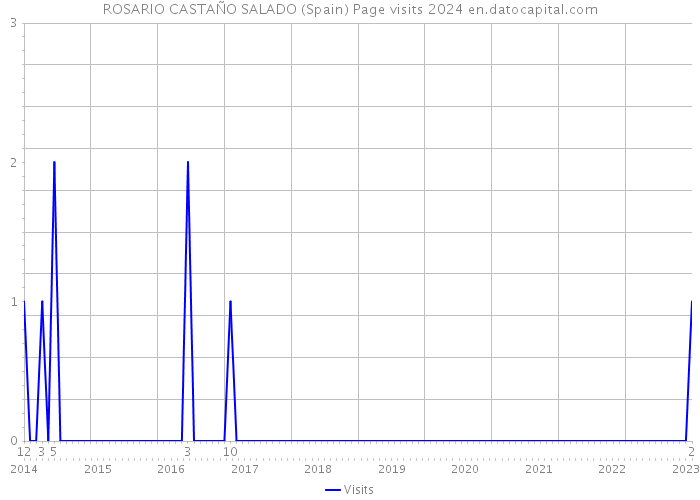 ROSARIO CASTAÑO SALADO (Spain) Page visits 2024 