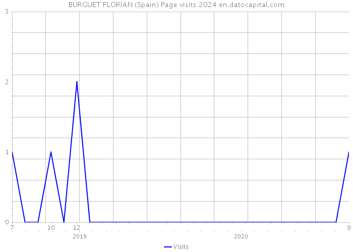 BURGUET FLORIAN (Spain) Page visits 2024 