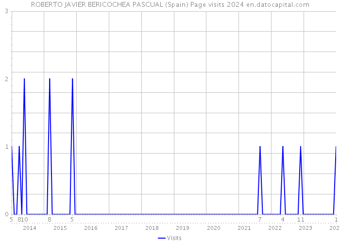 ROBERTO JAVIER BERICOCHEA PASCUAL (Spain) Page visits 2024 