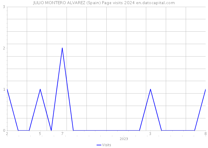 JULIO MONTERO ALVAREZ (Spain) Page visits 2024 