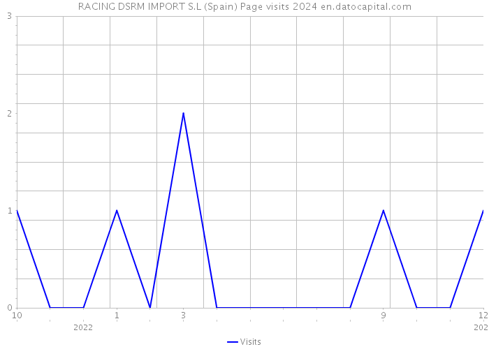 RACING DSRM IMPORT S.L (Spain) Page visits 2024 