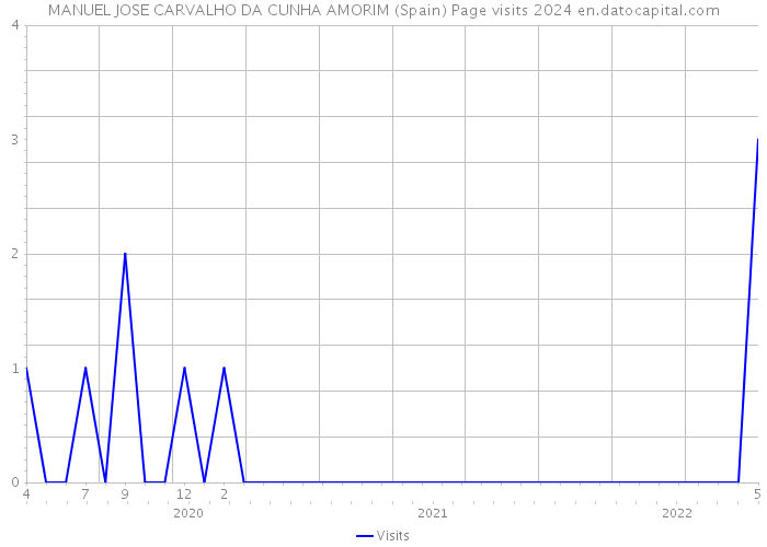 MANUEL JOSE CARVALHO DA CUNHA AMORIM (Spain) Page visits 2024 