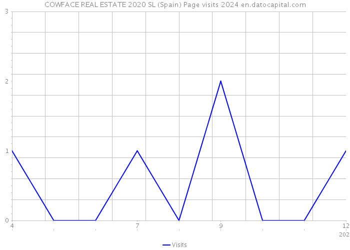 COWFACE REAL ESTATE 2020 SL (Spain) Page visits 2024 