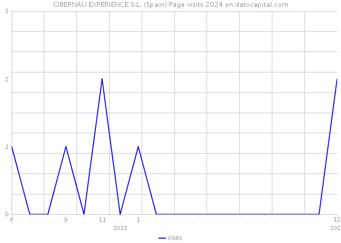 GIBERNAU EXPERIENCE S.L. (Spain) Page visits 2024 