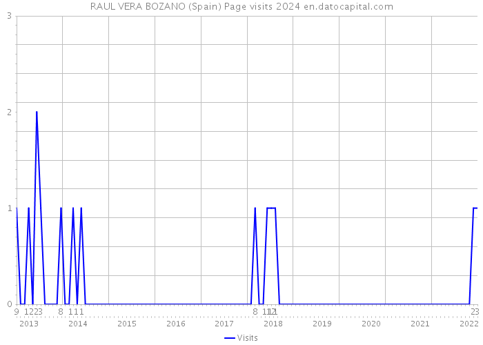 RAUL VERA BOZANO (Spain) Page visits 2024 