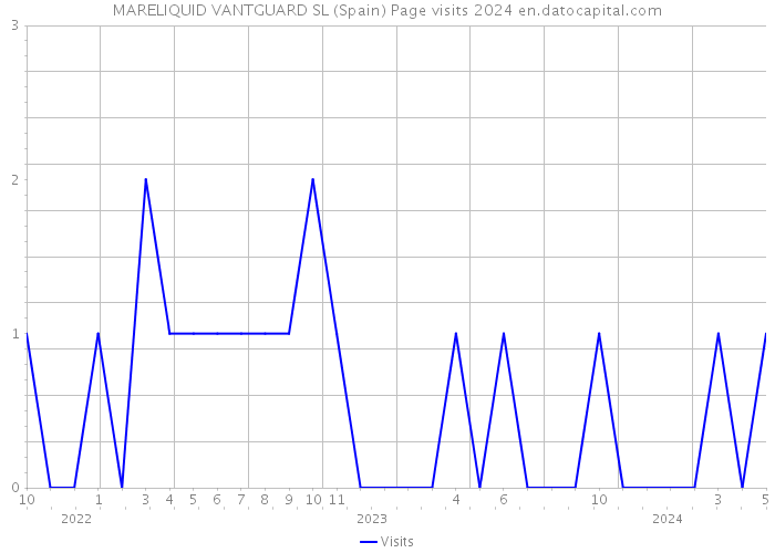 MARELIQUID VANTGUARD SL (Spain) Page visits 2024 