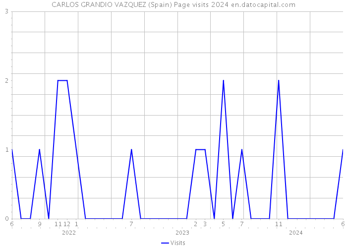 CARLOS GRANDIO VAZQUEZ (Spain) Page visits 2024 