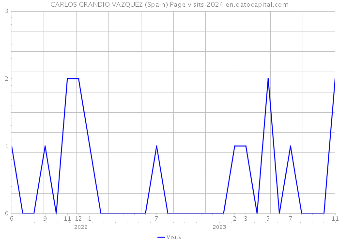 CARLOS GRANDIO VAZQUEZ (Spain) Page visits 2024 