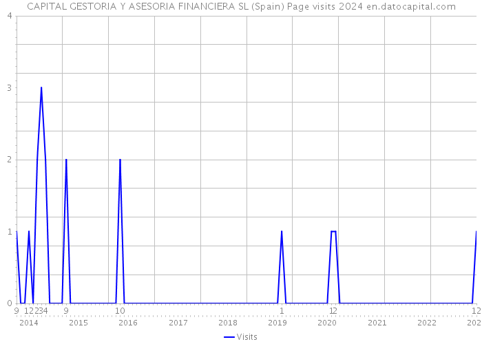 CAPITAL GESTORIA Y ASESORIA FINANCIERA SL (Spain) Page visits 2024 