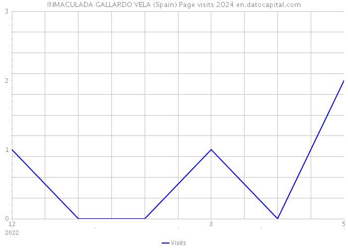 INMACULADA GALLARDO VELA (Spain) Page visits 2024 