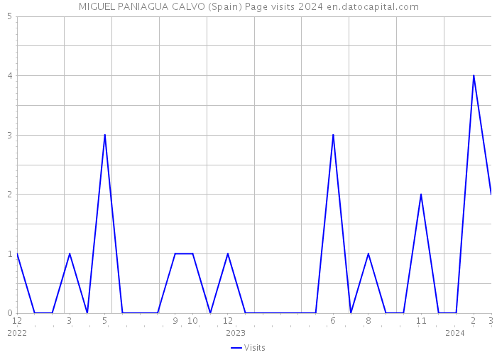 MIGUEL PANIAGUA CALVO (Spain) Page visits 2024 