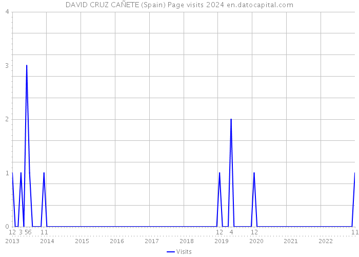 DAVID CRUZ CAÑETE (Spain) Page visits 2024 