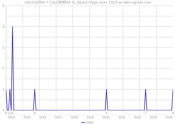 VALVULERIA Y CALDERERIA SL (Spain) Page visits 2024 