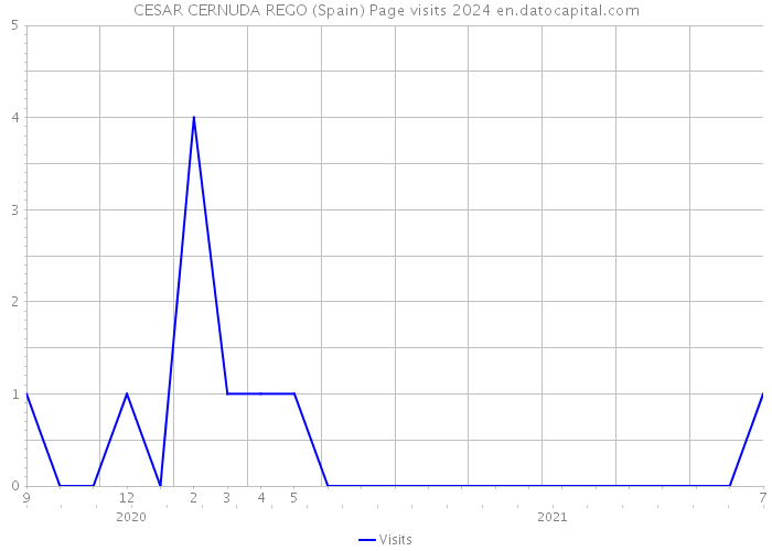 CESAR CERNUDA REGO (Spain) Page visits 2024 