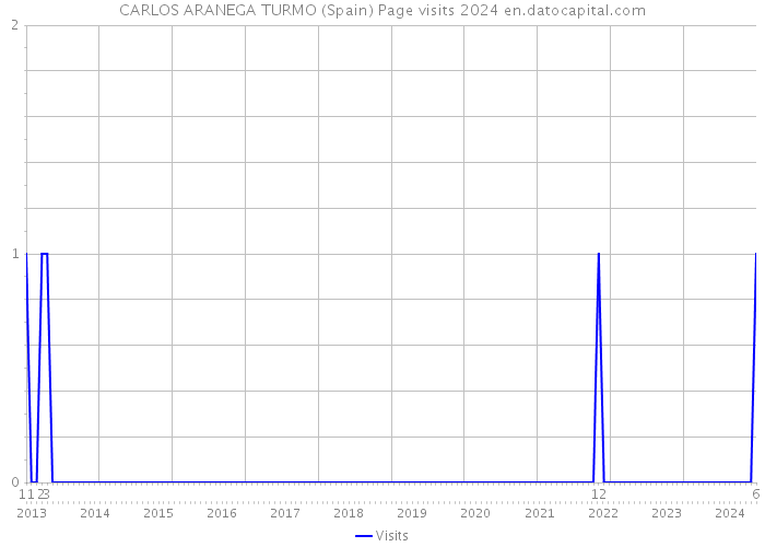 CARLOS ARANEGA TURMO (Spain) Page visits 2024 